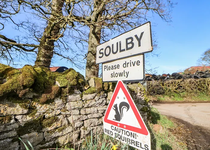 Cherry Tree Ferienhaus